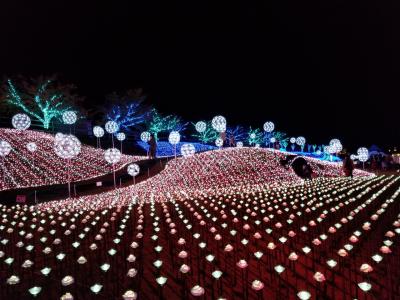 滋賀最大のイルミネーション『ローザンイルミ2020』を30枚の写真で徹底紹介！ - しがトコ