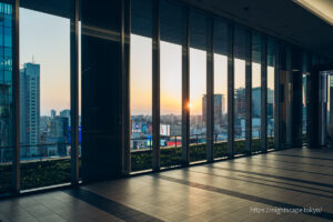 2024年 大阪府咲洲庁舎展望台 コスモタワー の割引券・クーポンまとめ