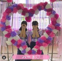 学園祭フォトスポット 花紙TikTok