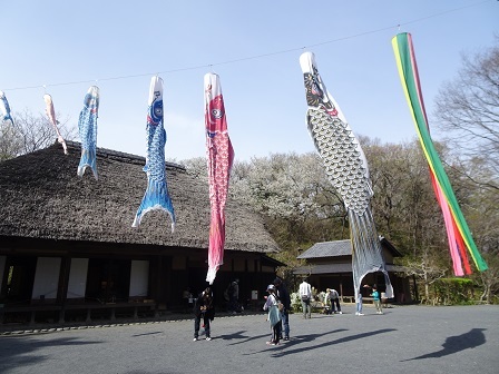 横浜で鯉のぼりを見に行こう横浜で暮らそう