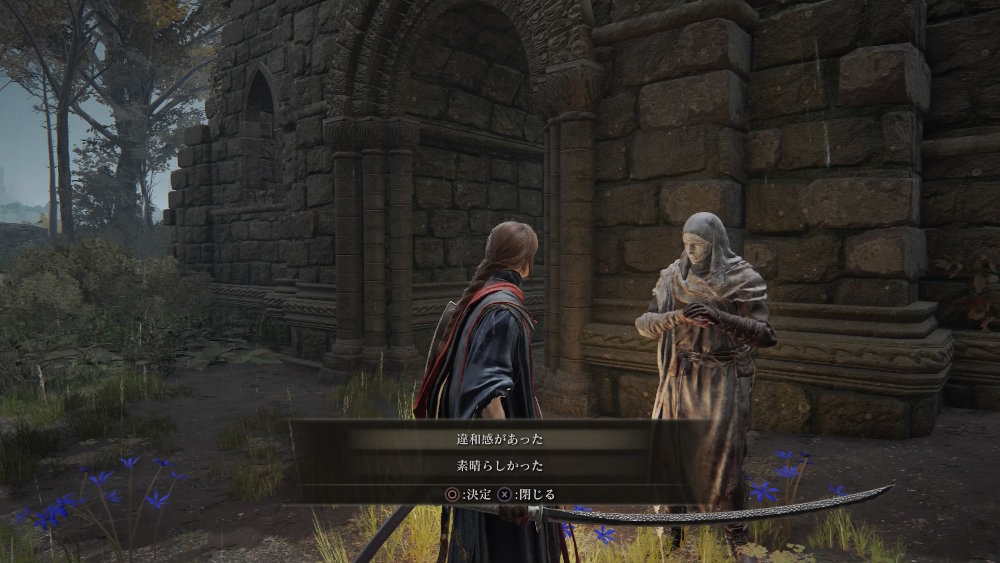 エルデンリング リエーニエNPCイベント：ヴァレー、ネフェリ、しろがね村 プレイ日記10- セイナニティLog