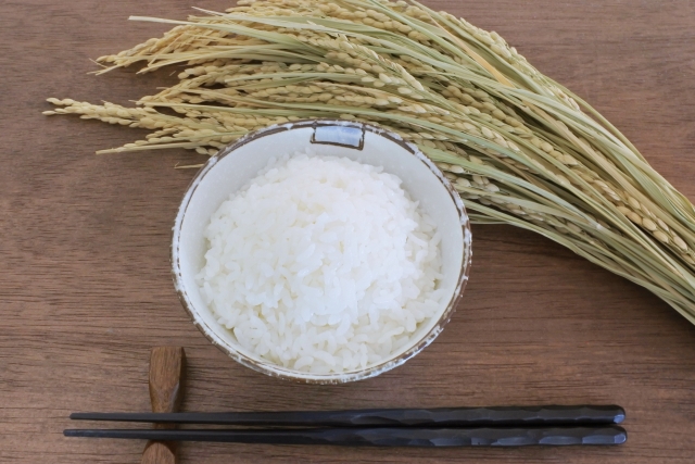 秋といえば食欲？ 読書？ それとも ？ - 電撃オンライン