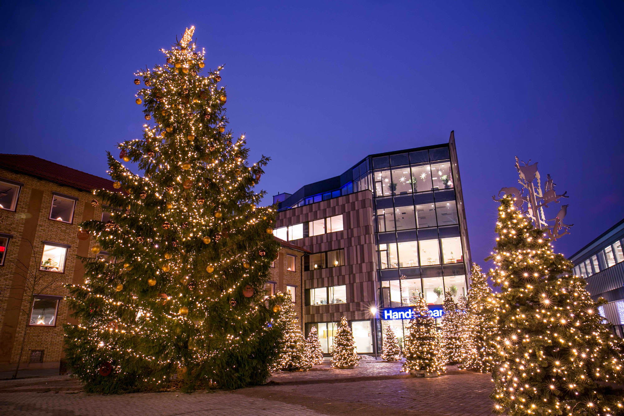 クリスマスツリーライトのおすすめ12選！電池式や屋外向けもHEIMハイム