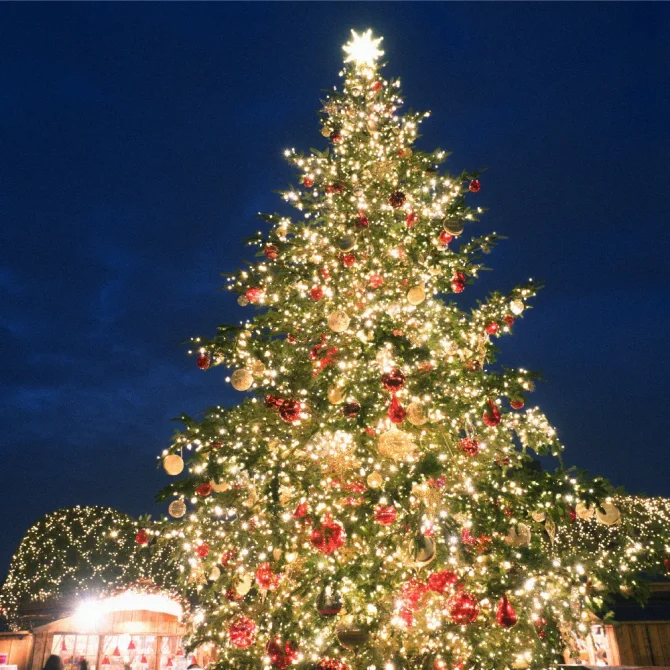 クリスマス ツリー 名前 星 アクリル プレート オリジナル - Aomoi.jp