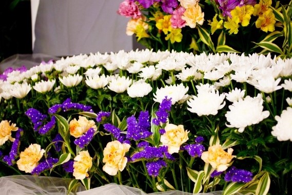 花祭壇でお別れを。好きな花に囲まれた最後にするために - 家族葬のファミーユ Coeurlien