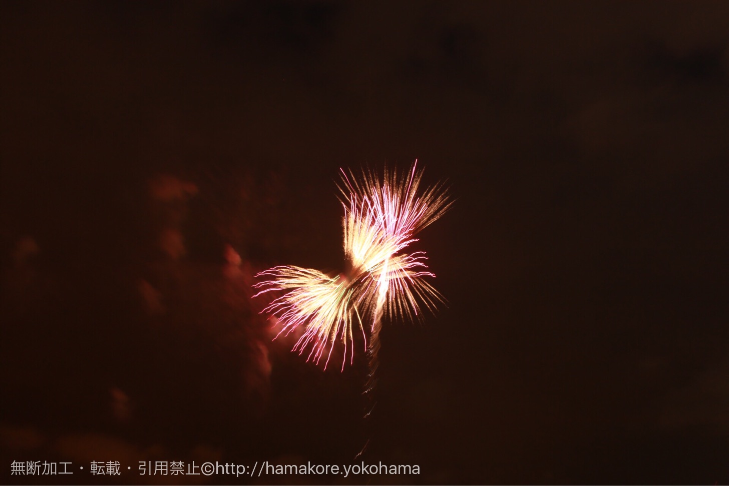 本年度は終了しました※ 2025花火大会☆横浜 第44回 横浜開港祭 ※花火は6月2日 月- とことこ湘南