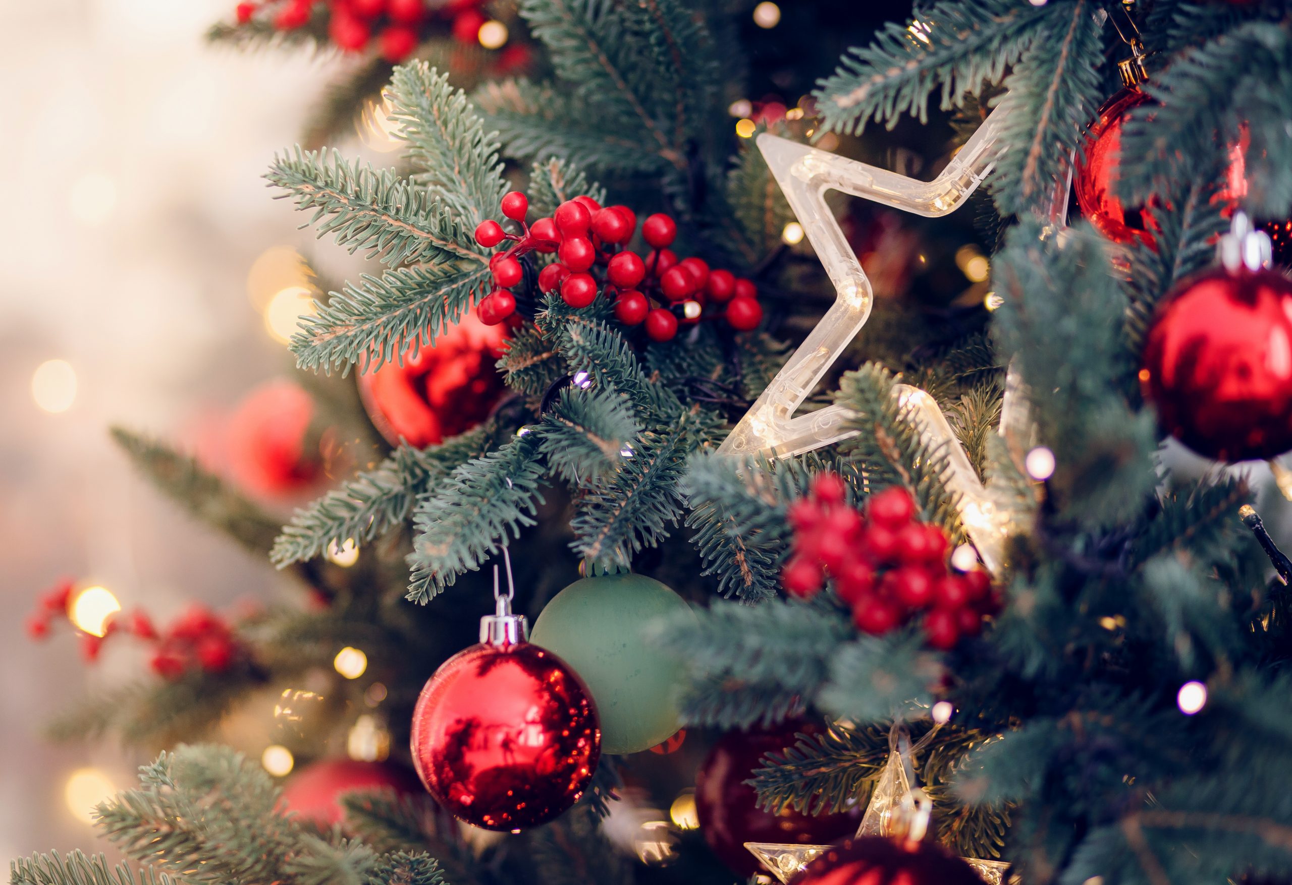 日比谷花壇オンラインショップのクリスマスギフト特集 お取り寄せできる！花ギフト・プレゼント12選イエモネ