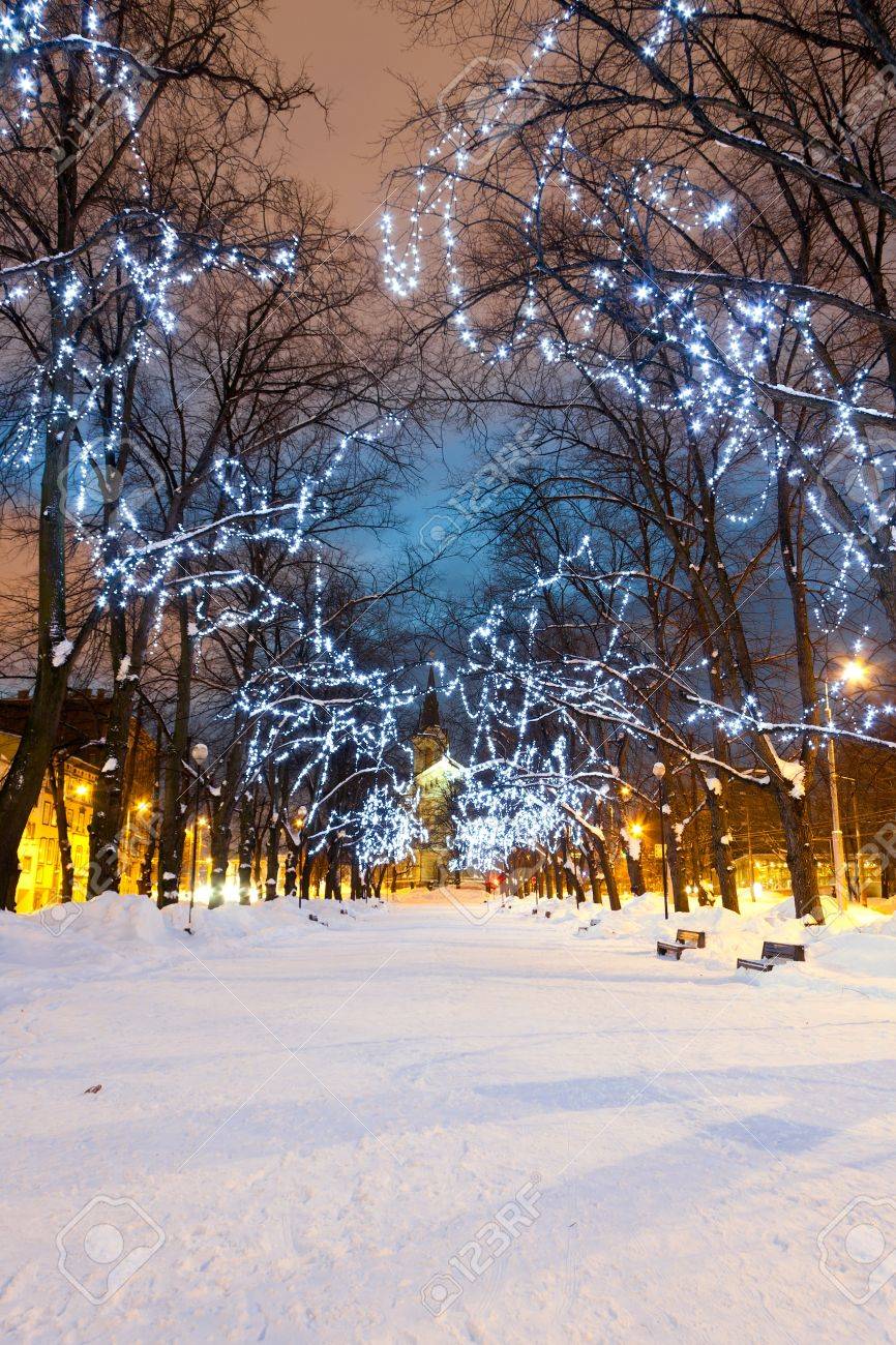 フリーイラスト雪とクリスマスツリーのイルミネーションパブリックドメインQ：著作権フリー画像素材集