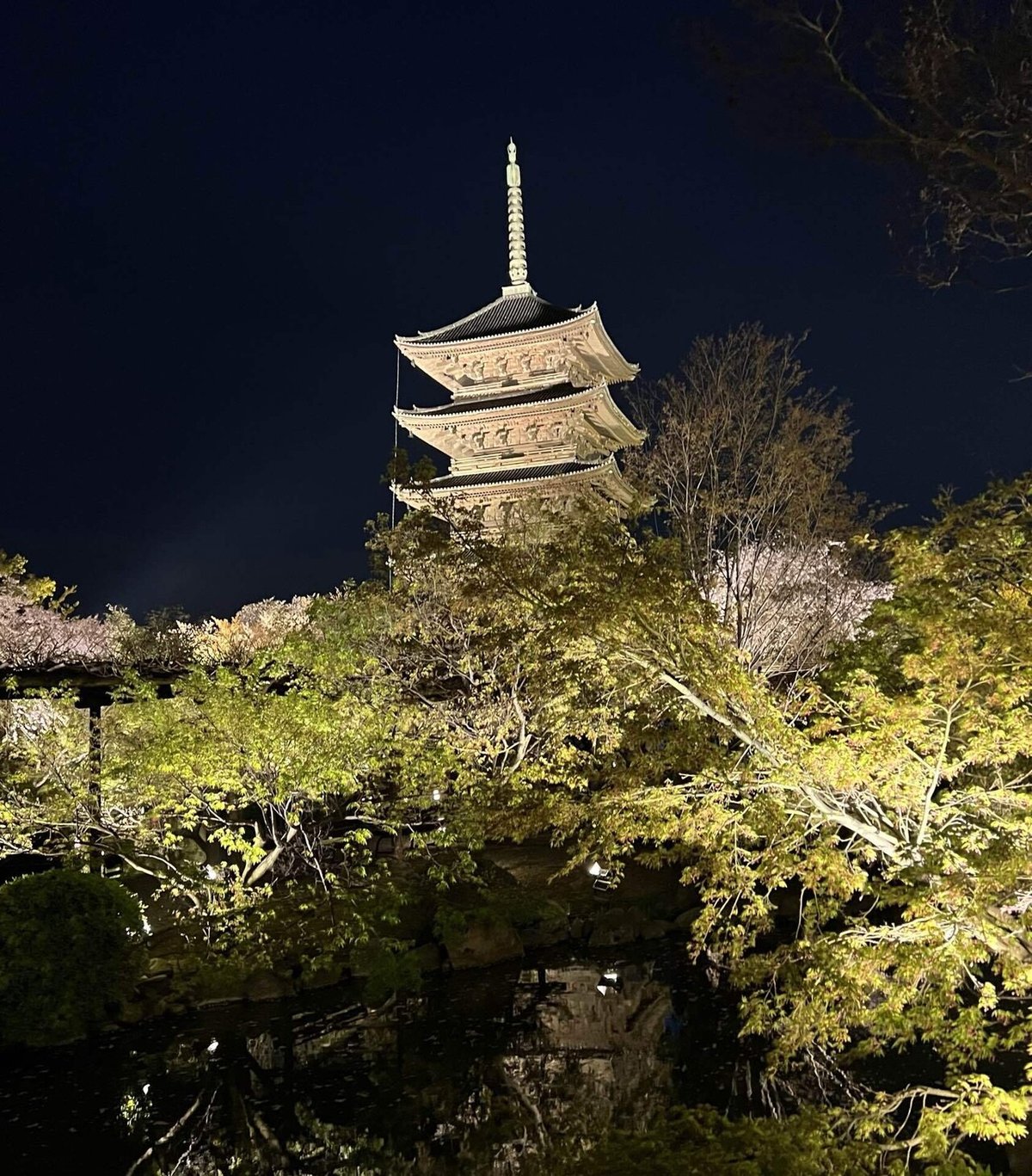 2025年 春の夜間特別拝観＆ライトアップ情報 京都市公式 京都観光Navi