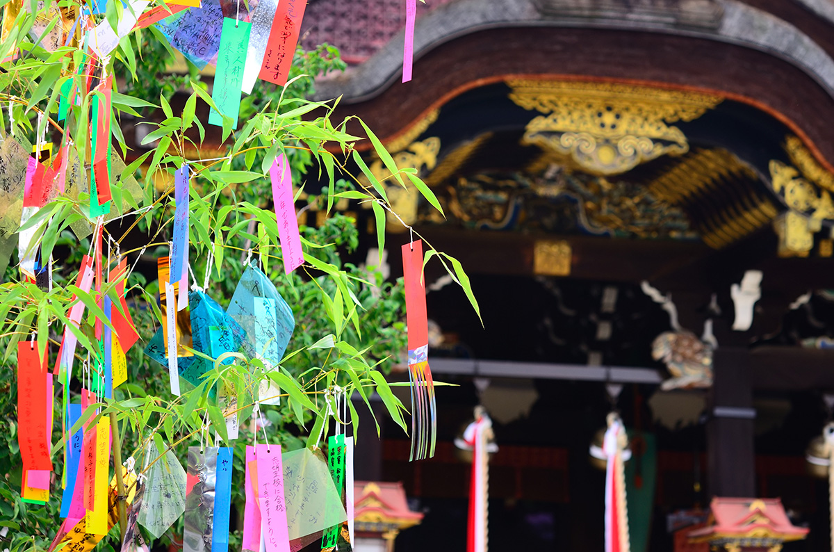 7月7日「七夕」の本当の意味と過ごし方は？ 和文化研究家が解説する七夕の正しい知識と新行事「夏詣」@Living アットリビング