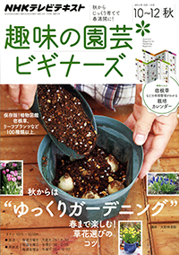 楽天市場 花屋の猫 スカのカレンダー 2の通販