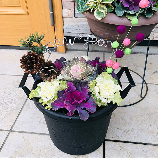 お正月用 毎年大人気！お正月用の寄せ植え教室