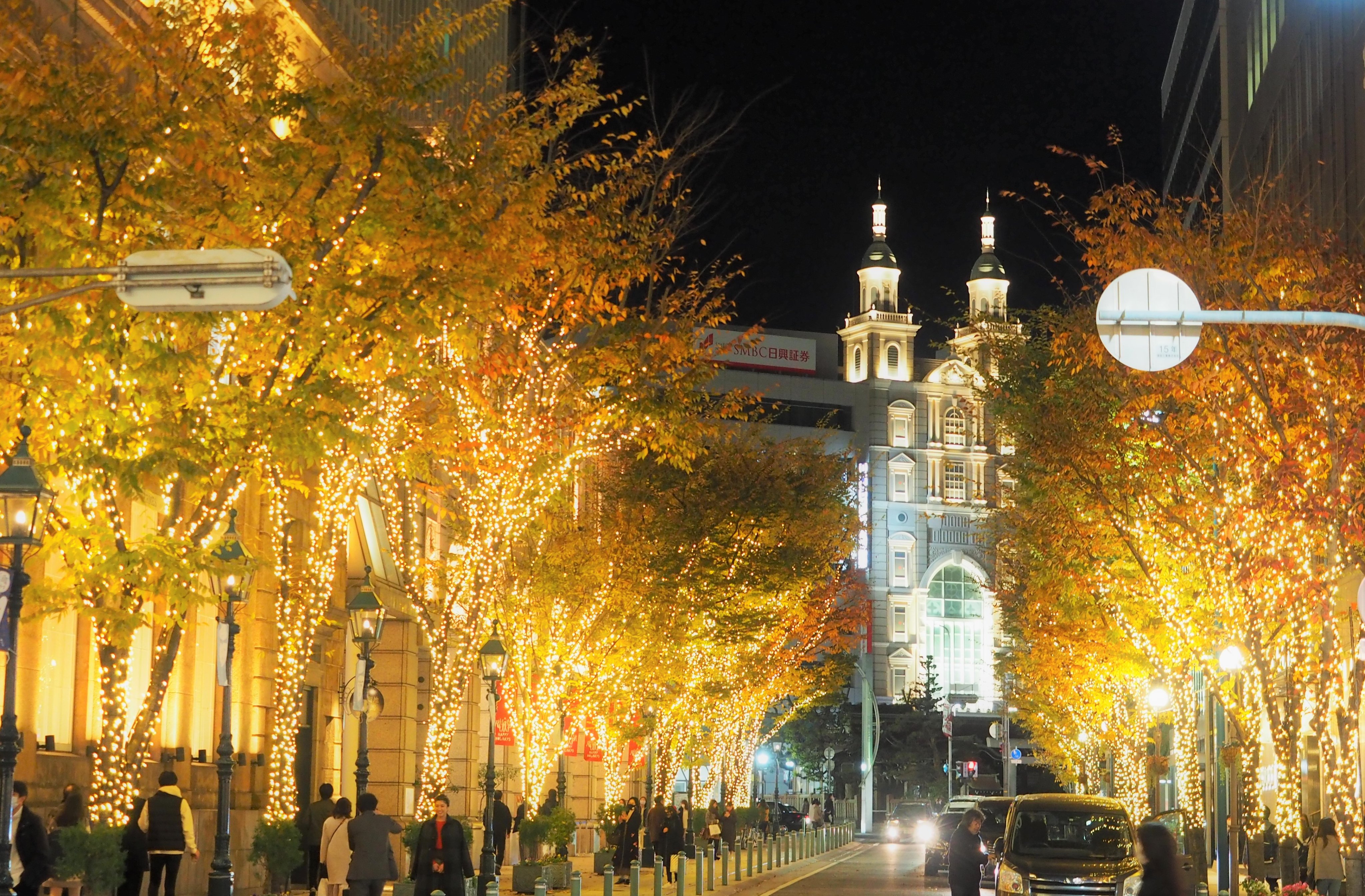 関西のイルミネーション2024-2025」大阪・神戸のライトアップ情報・冬のデートスポット - ファッションプレス