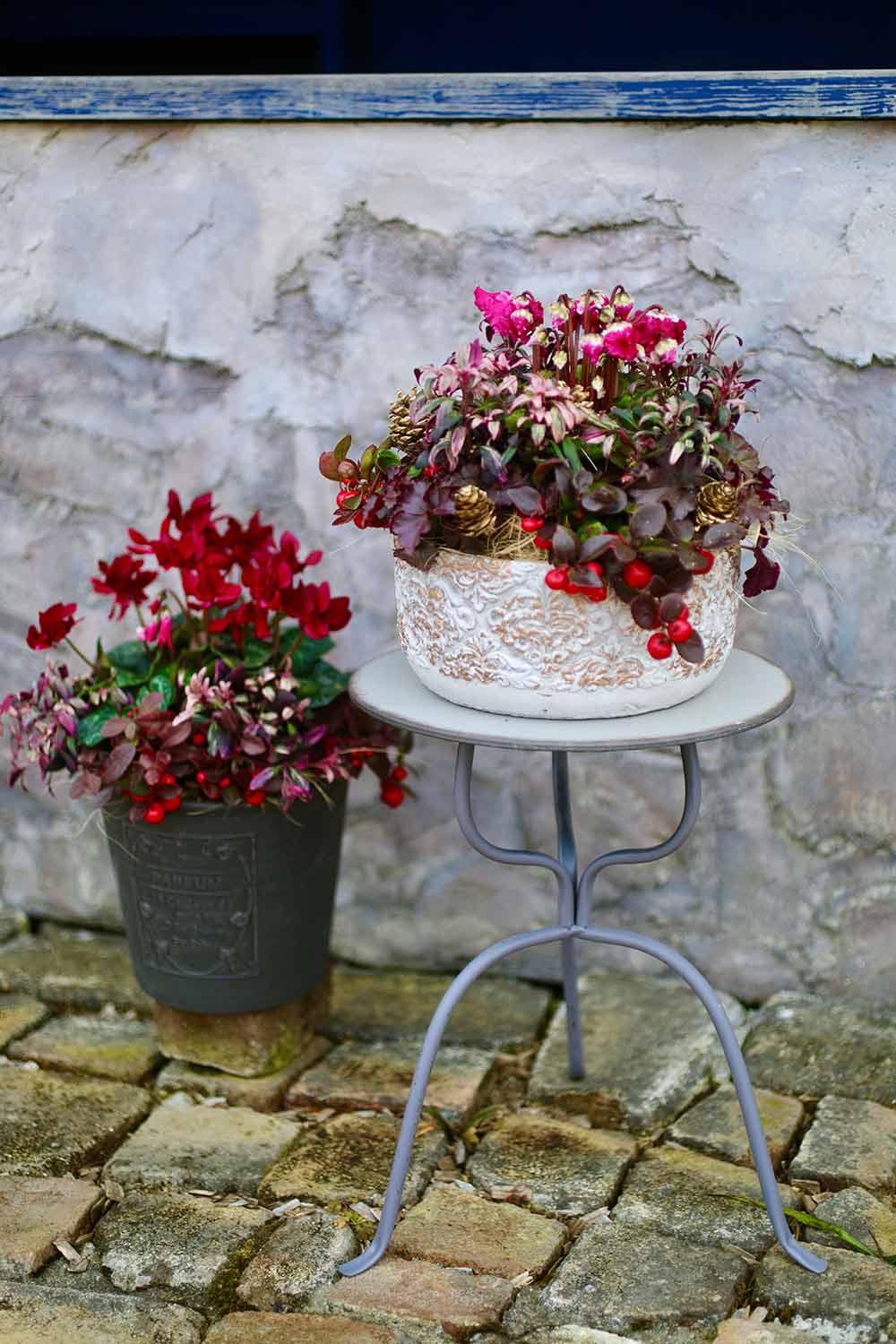 冬の寄せ植え 今年作るならコレ！パンジーのクリスマス寄せ植えを作りました♪ 初心者向けガーデニング園芸チャンネル