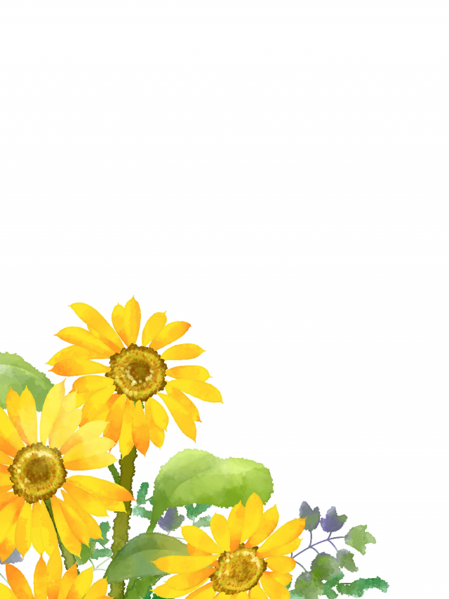 お中元のお礼状のはがき文例とイラスト入りテンプレートを無料ダウンロード - 無料のテンプレート