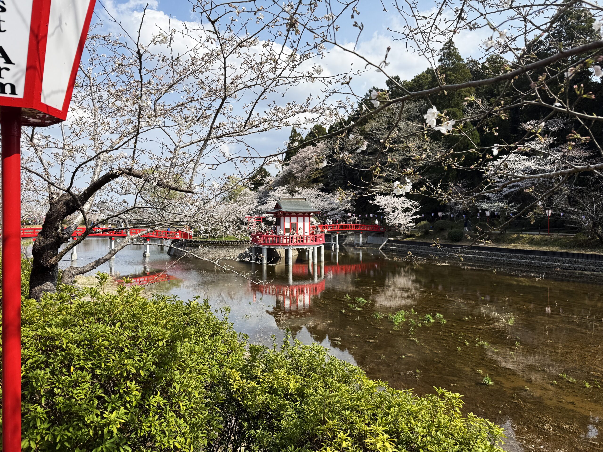 茂原桜まつり 市内のお店、出店中❗️＃茂原公園 にて開催している桜まつりで 市内のお店が出店しています✨ ステージではイベントも開催中⭐️是非遊びに来てみて下さい🌸桜イベントお祭りまつりさくら