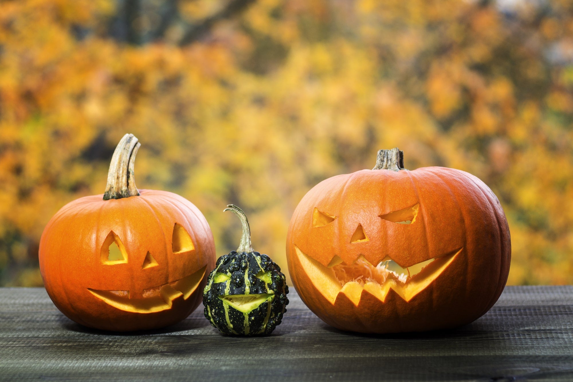 閲覧注意 ハロウィンのその後。かぼちゃランタン ジャックオランタン を30日間放置してみた。公式 トカチニッチ