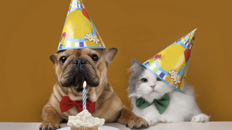 2ページ - 誕生日動画テンプレートでおしゃれなバースデームービーデザインを無料で作成！Canva