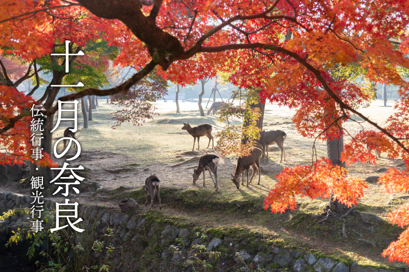 デイサービスセンター筒井 11月 行事予定表ができました！名古屋で介護・福祉事業を展開する愛生福祉会