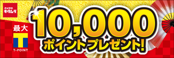 2025年 スタジオアリスとスタジオマリオの違いとは？料金、写真データ、商品、評判を徹底比較 - Toreruyo トレルヨ