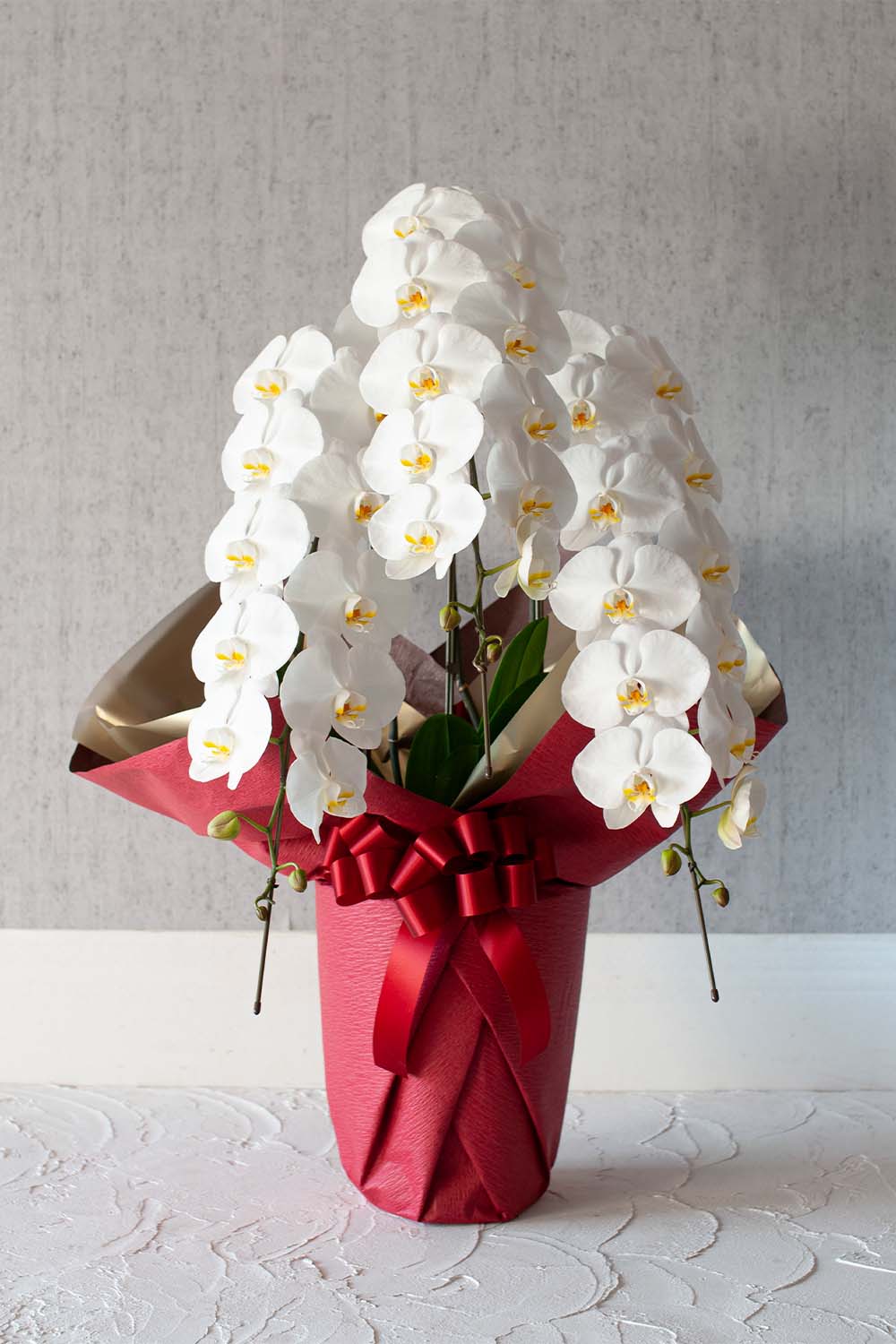 商品一覧開店祝い、開業祝いに贈るアレンジメントフラワーギフト・インテリア・雑貨のECサイト 通信販売