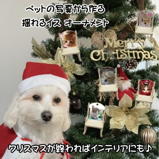 クリスマスプレゼント 写真立て サンタクロースフォトフレーム 花 プレゼント プリザーブドフラワー入り◇サンタクロース柄・種類はおまかせとなりますの通販はau PAY マーケット - フラワーガーデンリーブスau PAY マーケット－通販サイト
