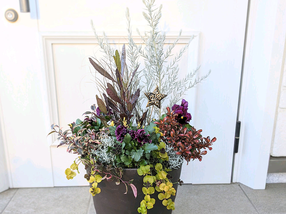 15.クリスマスやお正月にも飾れる☆可愛い寄せ植え☆初心者様向け☆