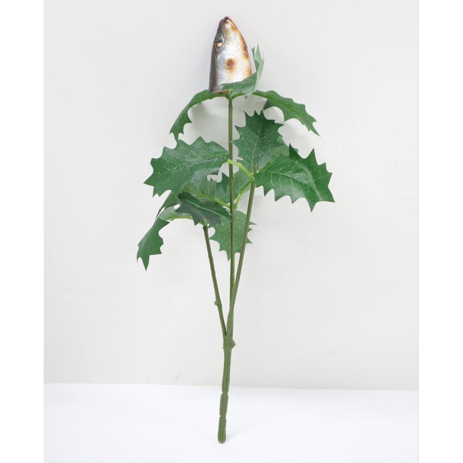 節分にイワシの頭を飾るのはなぜ？意味やオススメの食べ方をご紹介！みたい-まるはり×みたい-みつけて播磨 姫路、加古川など 情報サイト 旧：姫路みたい