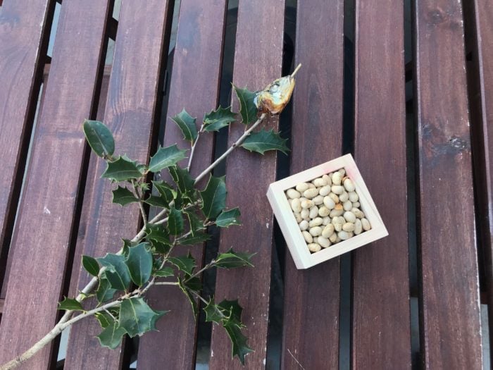 節分と柊鰯大湫町コミュニティ推進協議会