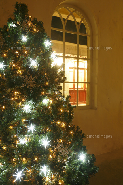 Litake クリスマスツリー 北欧 おしゃれ ヌードツリー 150cm クリスマス まつぼっくり付 高級 ポットツリー Xmas tree -LEDのLiTAKE