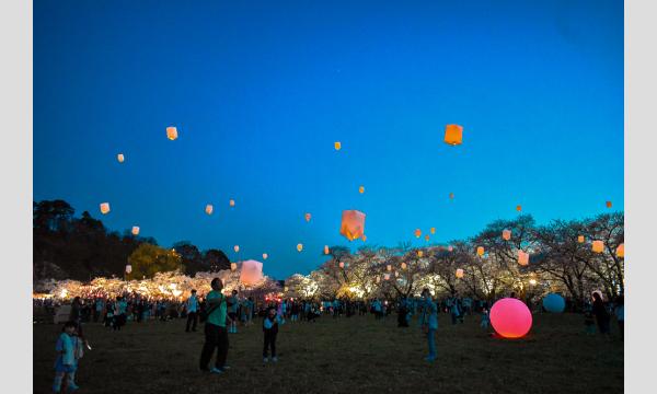 淡島千景さんも逝ってしまった。 : 荒井幸博TODAY