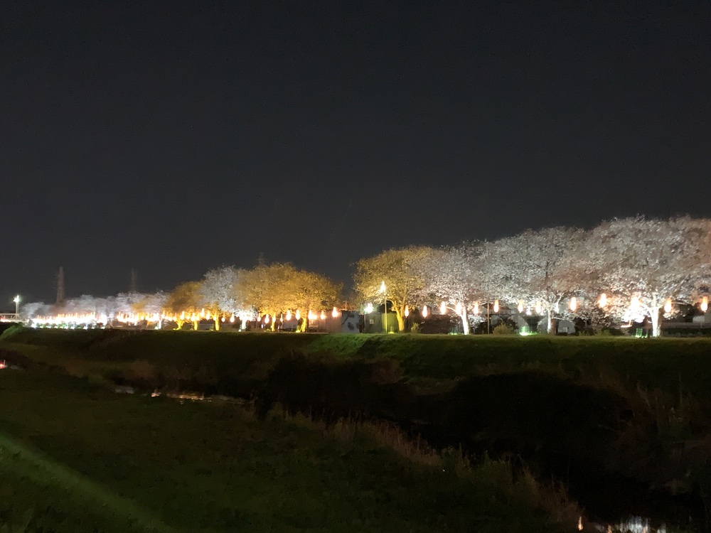 桜まつり・春まつり まだ間に合う！ 湘南＋県内周辺エリアで4月上旬に開催される「桜まつり・春まつり」情報集めました！！ 2025年版湘南エリア横浜・湘南で子供と遊ぶ - あそびい横浜・湘南