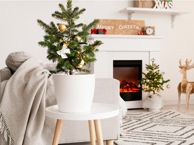 喪中・年賀欠礼状 喪中はがき の文例：一般＆ビジネスの喪中欠礼・年賀欠礼・喪中はがきの文例・例文 「年賀状・暑中見舞いドットコム」2025年・令和7年巳年 みどし・へびどし 版