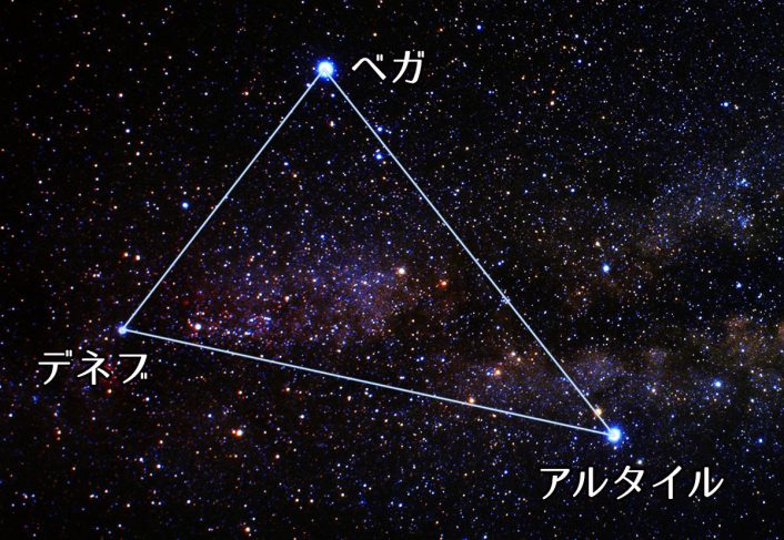 七夕でおなじみの笹、竹との違いは？ - ウェザーニュース