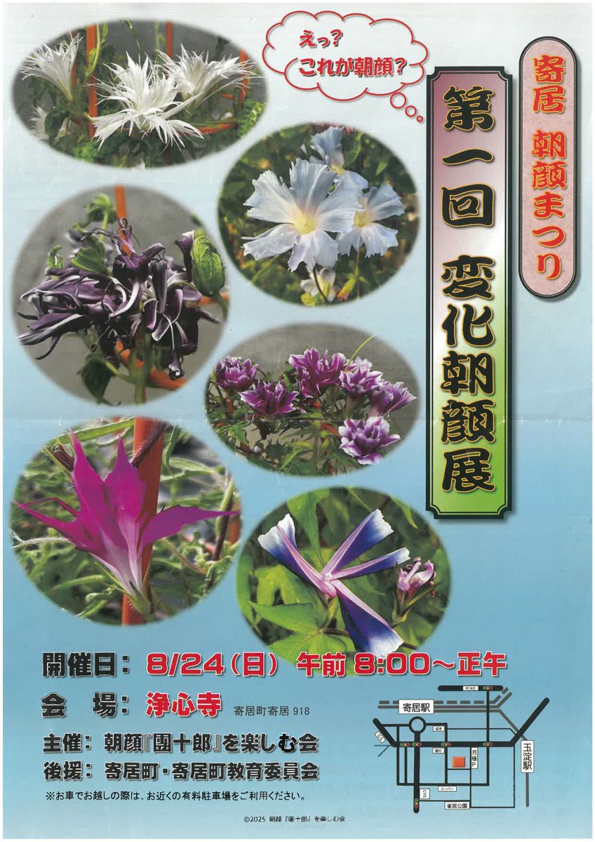 朝顔まつり 埼玉県寄居町 撮影 2023年 7月22日route140