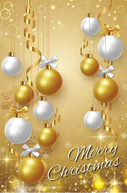 フォトスポットがクリスマスバージョンになりました! : 松阪わんわんパラダイス 森のホテルスメールのblog