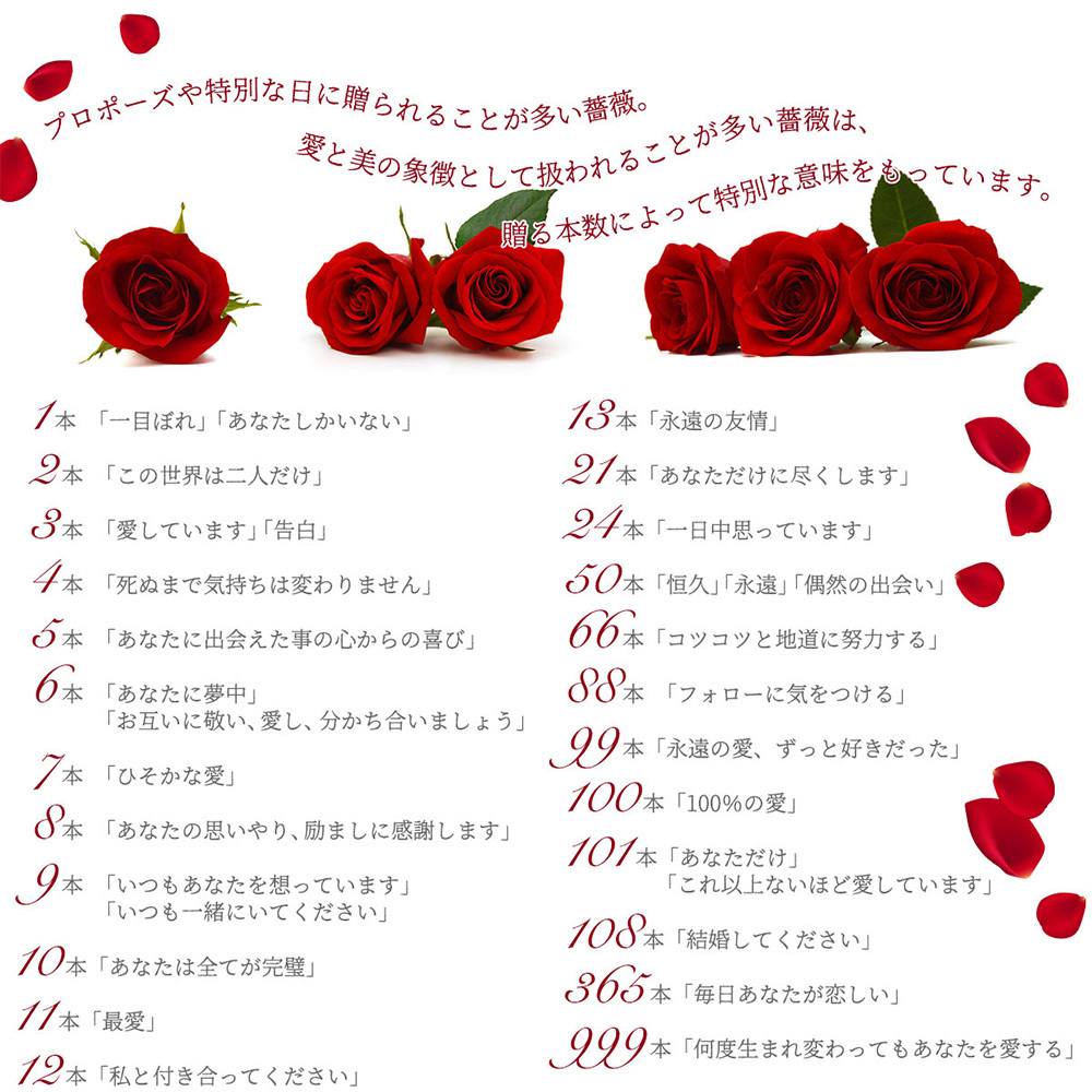 プロポーズで渡す薔薇 バラ の本数と色はどれがいい？値段と保存方法も紹介コラムHow to プロポーズ彼女が喜ぶプランが見つかる相談予約サイト