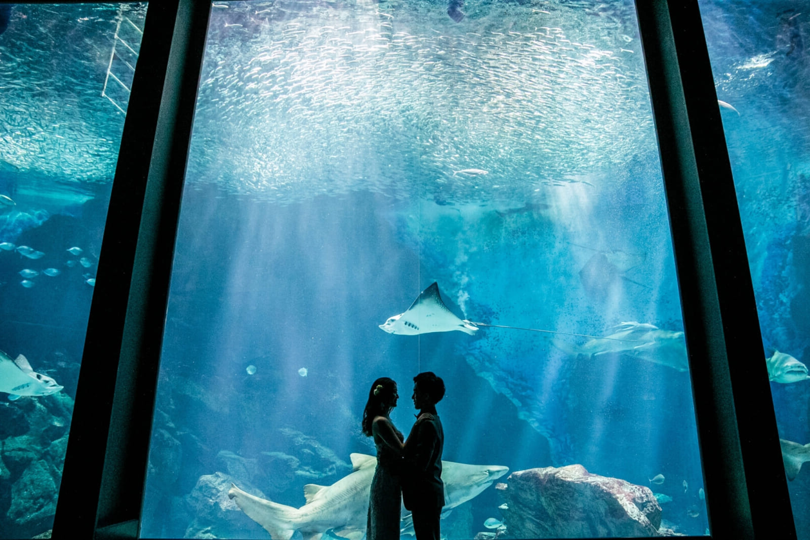 マリンワールドプラン＞2025年12月末までの期間限定プラン福岡 海の中道のリゾートホテル - ザ・ルイガンズ.THE LUIGANS