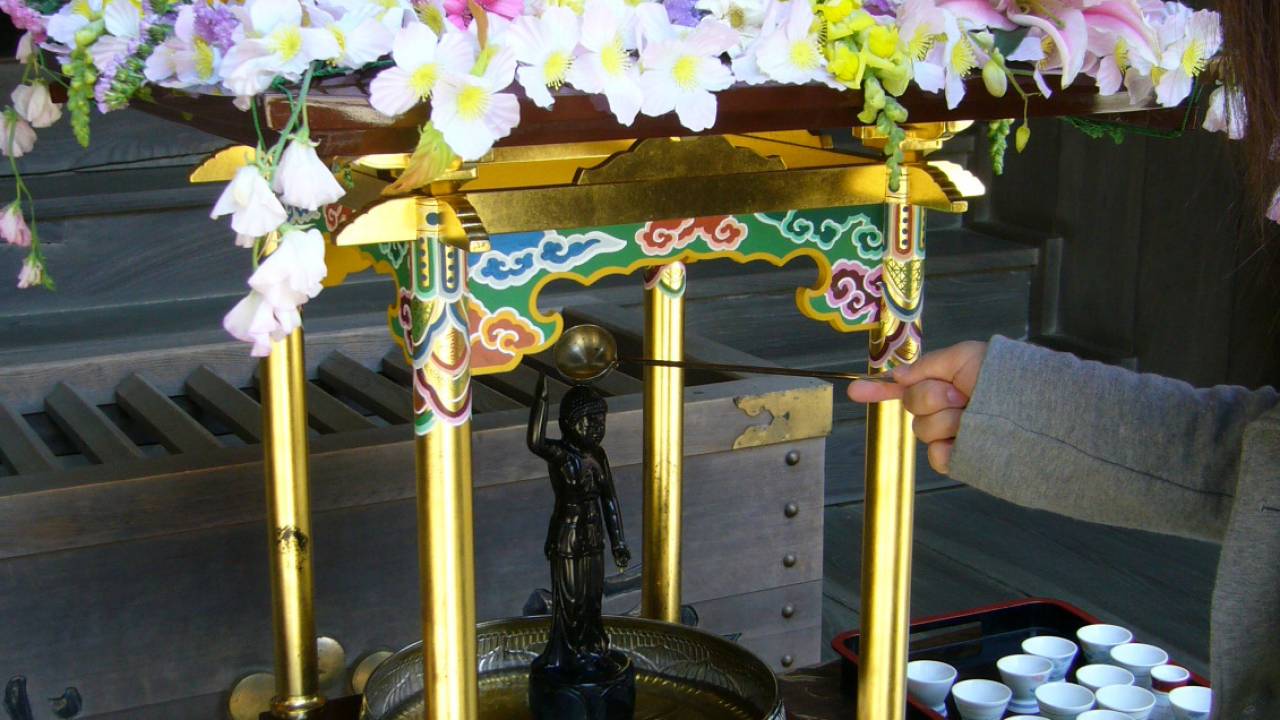 もうすぐ「花まつり」喜秀山 清楽寺 真宗興正派岡山県倉敷市