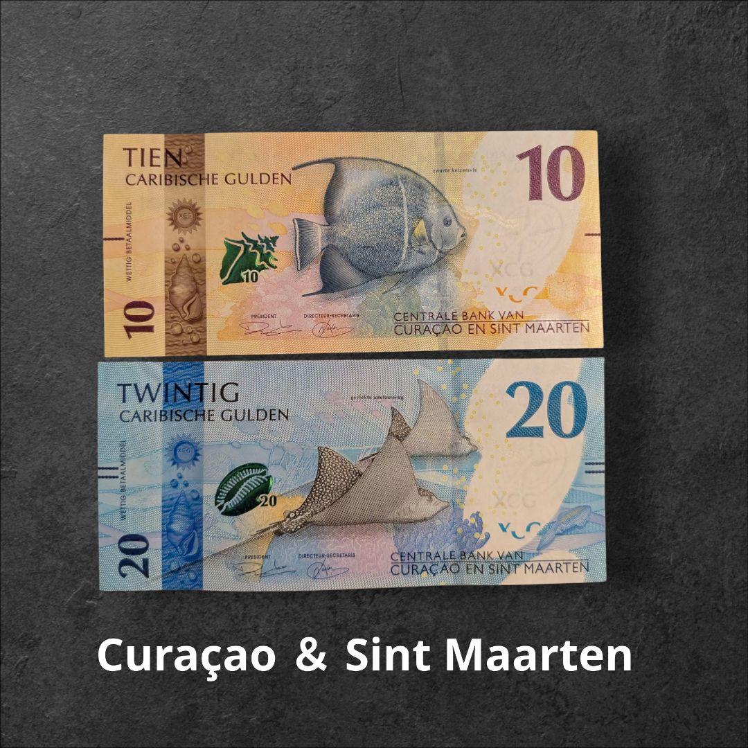 11月11日 土 体験！シント・マールテン祭、利根運河交流館で開催します。無料・申込不要。10時～15時の間に利根運河交流館に来てください😊✂️ランタンを作って 🌷球根を植えて 🍫お菓子をゲットしよう！ 3枚目の写真は昨年シント・マールテン参加の皆さんに植えて頂き