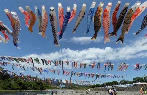 🌱 4月29日 火 ～5月5日 月 まで藤野の沢井川で鯉のぼり谷渡しが開催されるよ🎏 約250旒 りゅう の鯉のぼりが空を泳ぐ圧巻のイベントだよ！イベントで遊泳する鯉のぼりの寄付も募集中！ お家などに眠っている鯉のぼりがあったら、ぜひ寄付をしてね✨ 詳細は、緑区特設