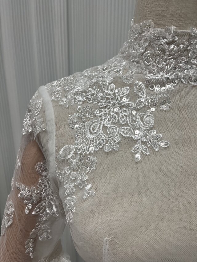 ボリュームスリーブのウェディングドレスがトレンド！プロノビアスのおすすめを紹介PRONOVIAS プロノビアス ウエディングドレス・インポートドレス