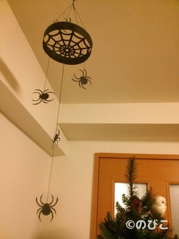 poccle_hoiku ←簡単切り紙でリアルなクモの巣🕸 ⁡ 折って切って、広げときの感覚が楽しい切り紙✂️ ハロウィンシーズンにあわせて、クモの巣を作ってみたよ❤️⁡ ⁡ ---------------------------- 季節を楽しむ𖠚☘︎すぐにできる！✨ 保育園や家庭で楽しめる製作＆遊び