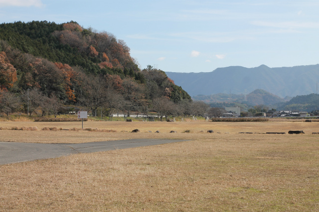 11 15～2025 1 3 きらめく「おとぎの国」へ！広島市内中心部で「ひろしまドリミネーション2024」開催
