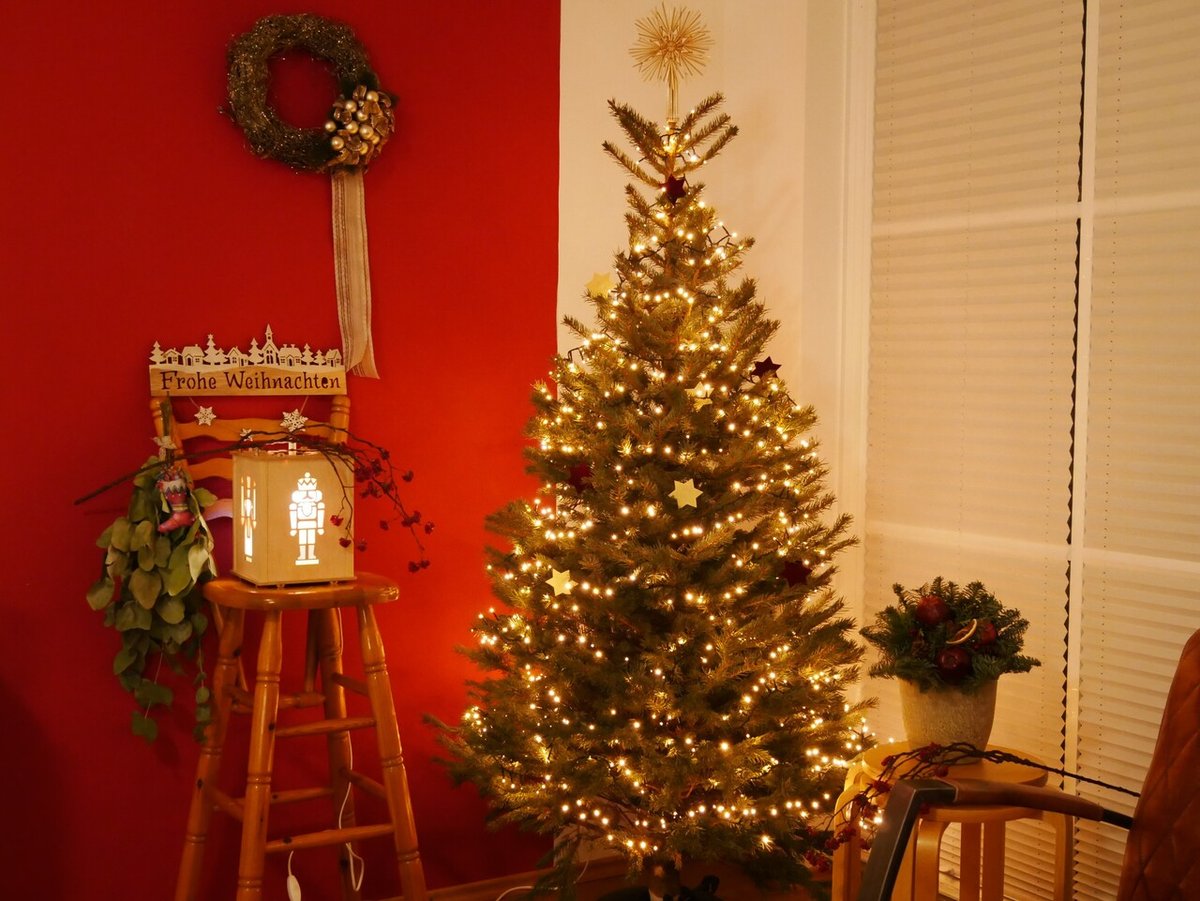 ドイツでクリスマスツリーの生木をツリー農場で直接切って持ち帰った在住者の話フランクフルトから発信！ドイツ生情報