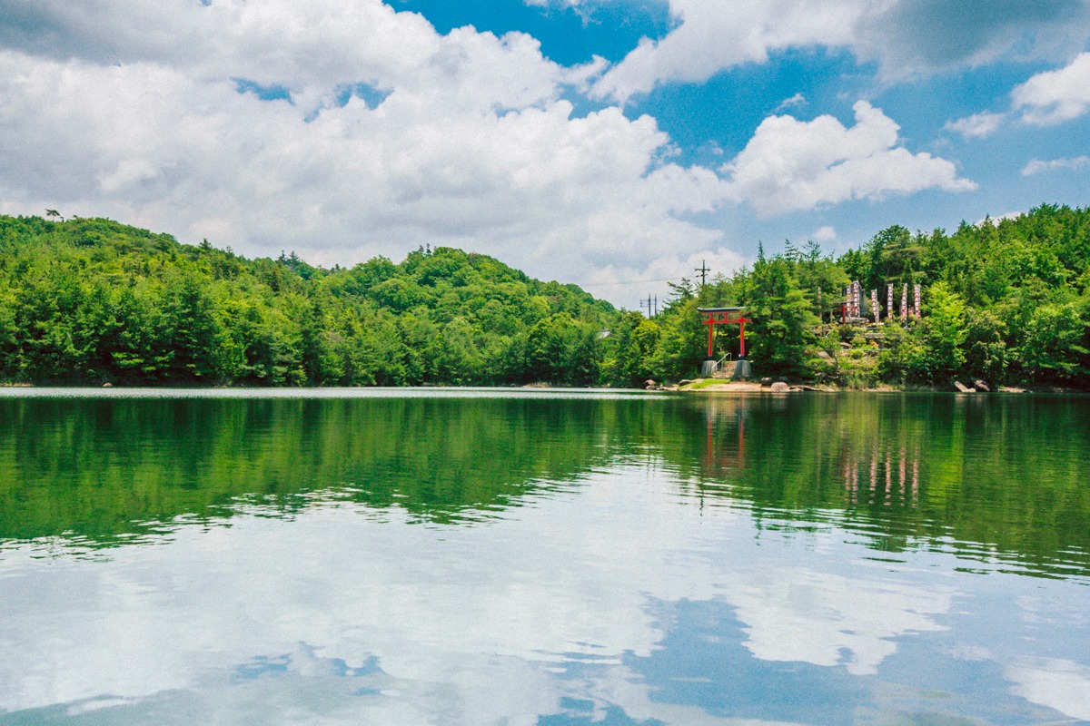 此方が 魔ット付きチケット の 魔界ラグDEATH 。大きすぎる 故、玄関などでは抑えきれない魔力かも スパ ラグ モス 此方は物販での販売はナシ！2025.11.15 土 渋谷WWW 降誕祭チケット限定希少価値グッズ🚯 お部屋で内なる魔力を秘めて 魔界インテリア🛋️ ※魔ット直径