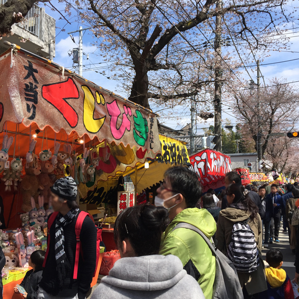 3kmも続く桜並木！日本の道100選にも選ばれた「常盤平さくら通り」 - 松戸に住もう