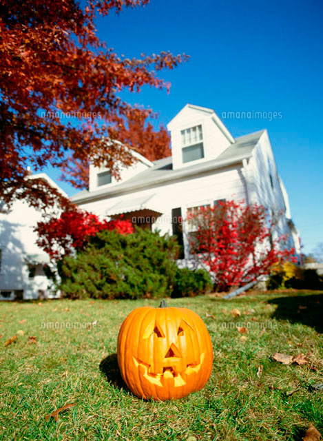墓地で妖精の樹の下でハロウィーン カボチャと夜の風景 のレンダリング — ストック写真 © FairytaleDesign217624272