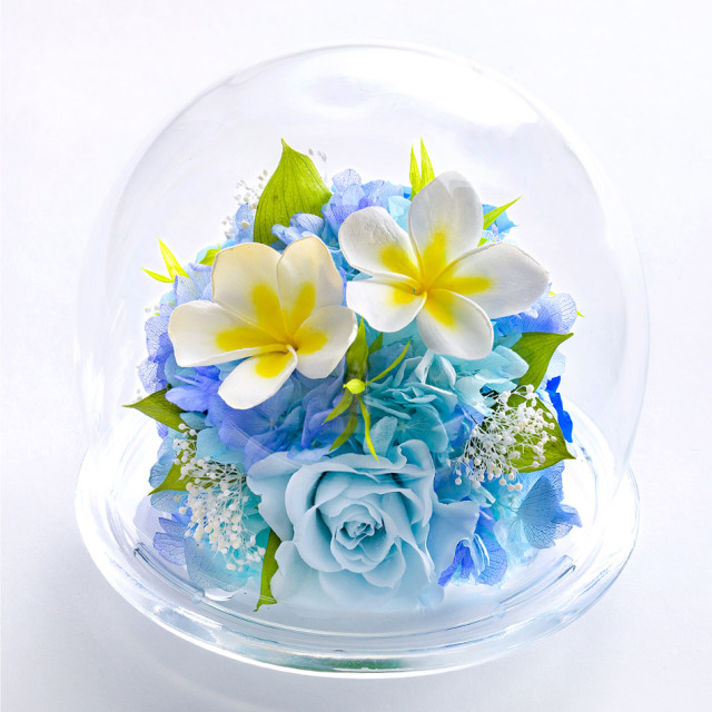 誕生日に贈る花 誕生花の紹介やお祝い花の選び方、贈り方のマナーなどエーデルワイス 花の贈り物フラワーギフト通販 花宅配 水戸市