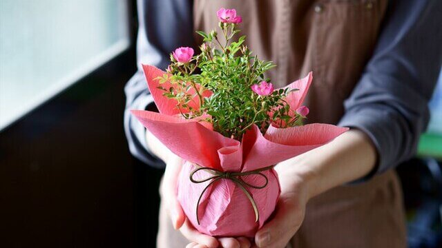 一輪 花束バラのプリザーブドフラワー 中輪 ギフトボックス入り枯れない花 プレゼント メッセージフラワー対応